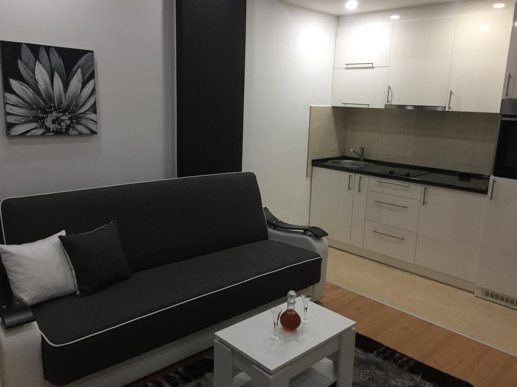 Apartmán Apartman Jezdić Banja Koviljača Exteriér fotografie